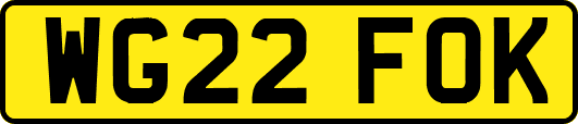 WG22FOK