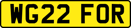 WG22FOR