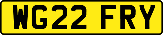 WG22FRY
