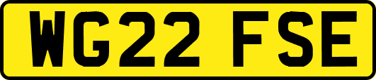 WG22FSE