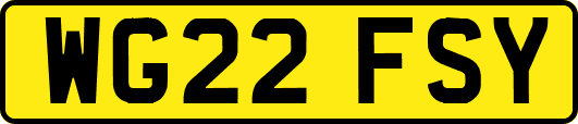 WG22FSY