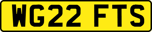 WG22FTS
