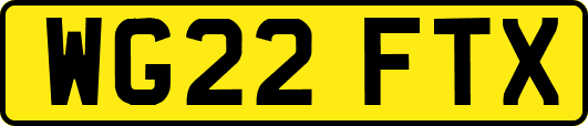 WG22FTX