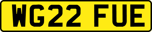 WG22FUE