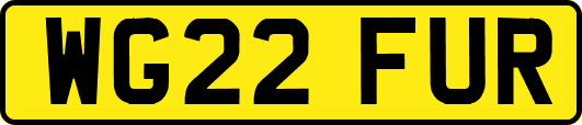 WG22FUR