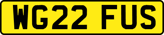 WG22FUS