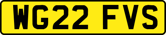 WG22FVS