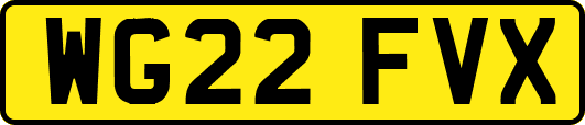 WG22FVX