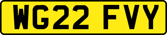 WG22FVY