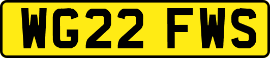 WG22FWS
