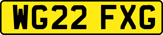 WG22FXG
