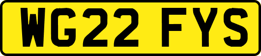 WG22FYS
