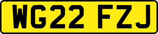 WG22FZJ
