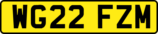 WG22FZM
