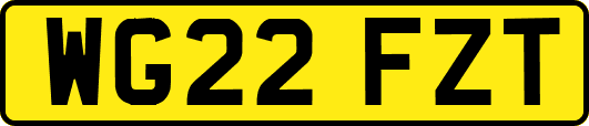 WG22FZT