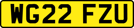 WG22FZU