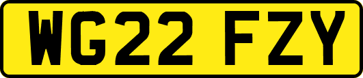 WG22FZY