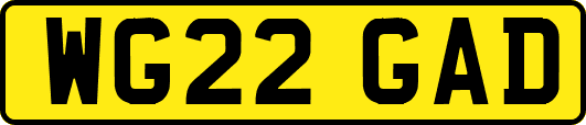 WG22GAD