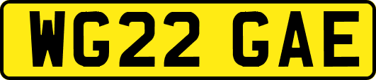 WG22GAE