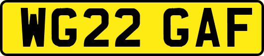 WG22GAF