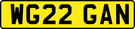 WG22GAN