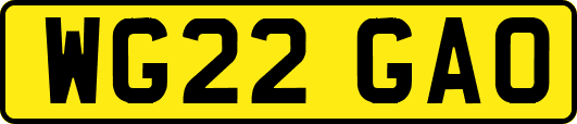 WG22GAO