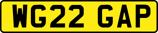 WG22GAP
