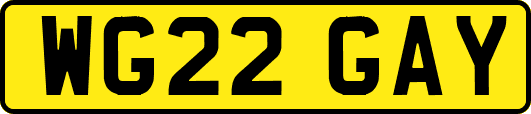 WG22GAY