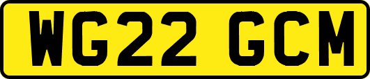 WG22GCM
