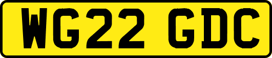 WG22GDC