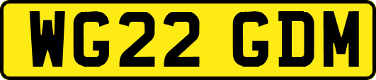 WG22GDM