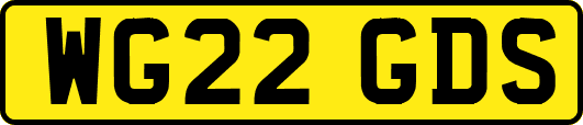 WG22GDS