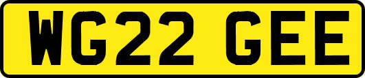 WG22GEE