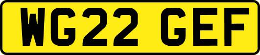 WG22GEF