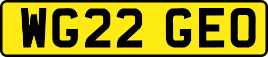 WG22GEO