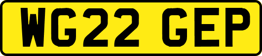 WG22GEP