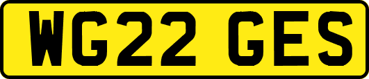 WG22GES