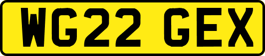 WG22GEX
