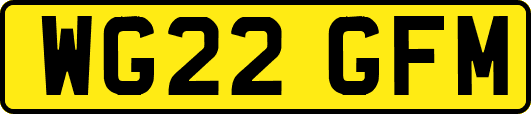WG22GFM