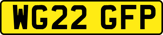 WG22GFP