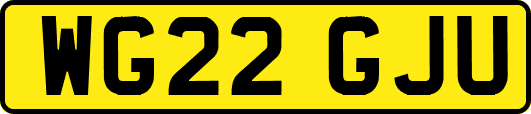 WG22GJU