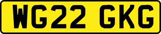 WG22GKG