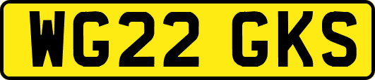 WG22GKS