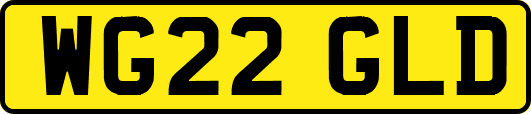 WG22GLD