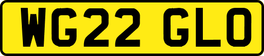 WG22GLO
