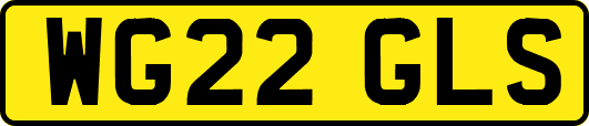 WG22GLS