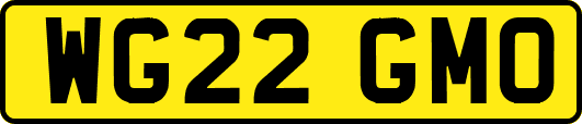 WG22GMO