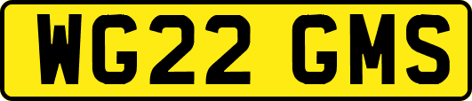 WG22GMS