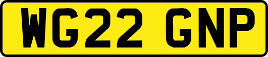 WG22GNP