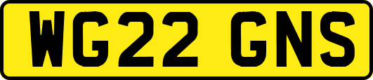 WG22GNS